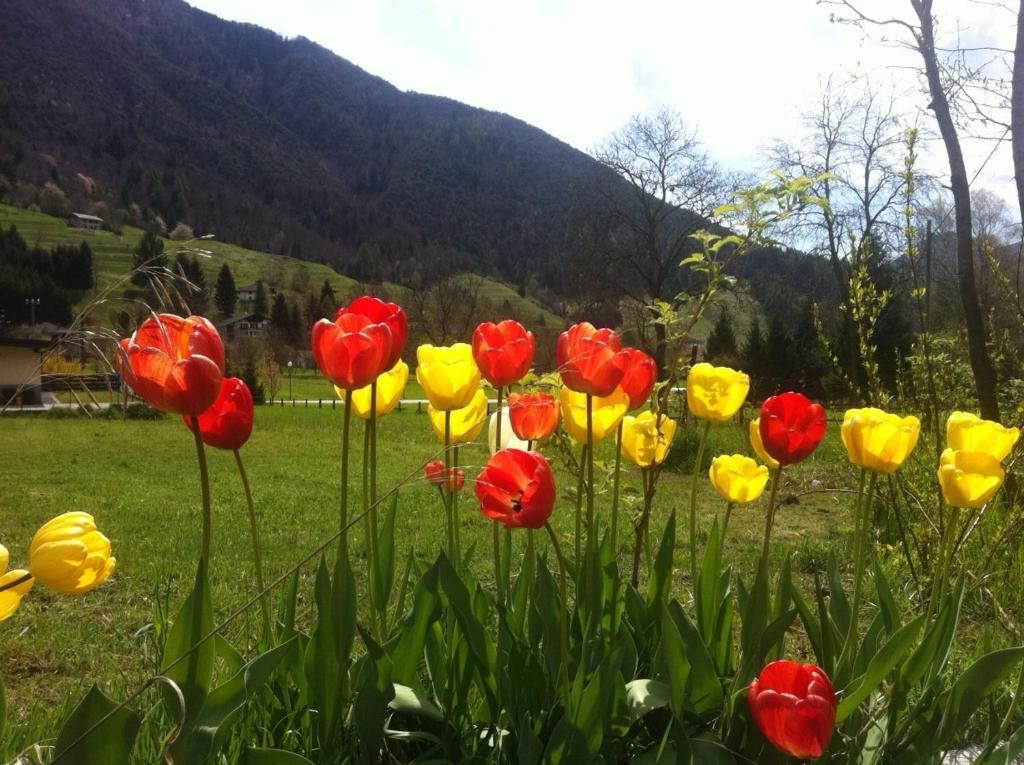 Cadria Nature & Bike Hotel Lenzumo di Concei Екстер'єр фото